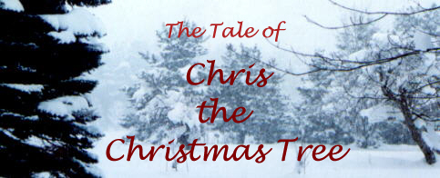 The Tale of Chris the Christmas Tree