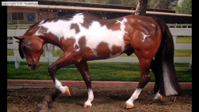 Breyer Stock Horse Stallion Remade