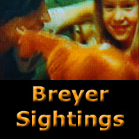 Breyer Sightings Blog