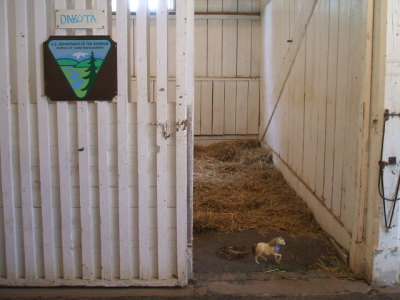 Checking out the Big Barn