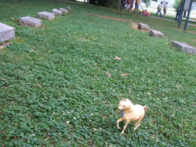 At The Race Horse Grave Yard