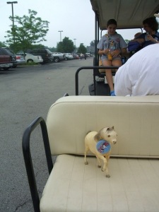 Golf Cart Ride