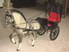 Flocked FAS and Cart