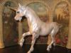 Customized Unicorn