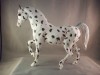 Leopard Appy FAS