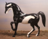 Orca FAS