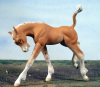 Breyer Frolic Foal CM