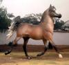 Breyer Classic Arabian Stallion CM