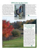November 2011 Saving Birds Newsletter