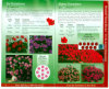 Insides of geranium catalog